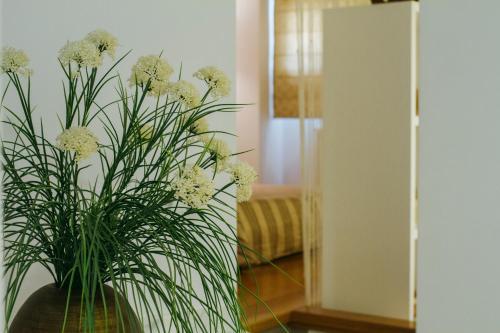 Apartamento La Casa Dels Abeuradors