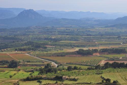 Apartamento La Casa Dels Abeuradors