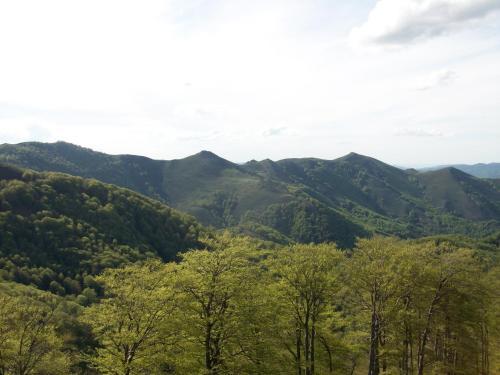 Hostal Rural Arrobi Borda