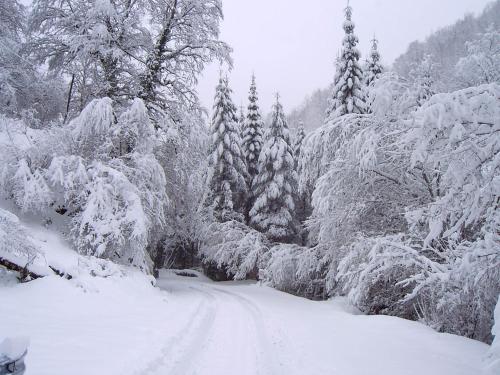 Hostal Rural Arrobi Borda