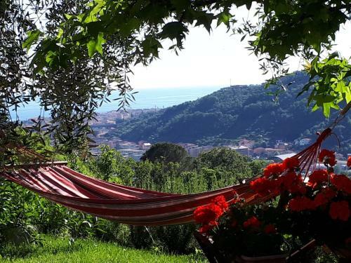 Bed & Breakfast La Gatta Sul Sentiero