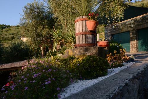 Bed & Breakfast La Gatta Sul Sentiero