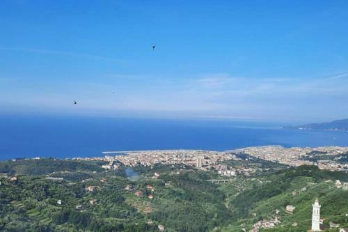 La Finestra Sul Golfo - Citra 010018-lt-0033 -