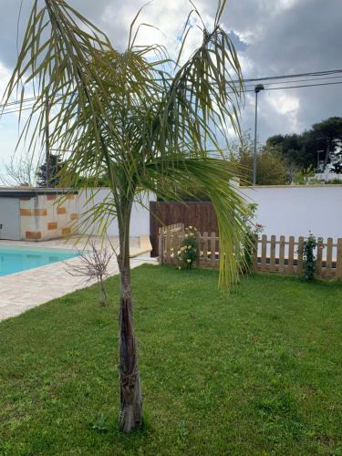 Appartamento In Villa Con Piscina A 700m Dal Mare