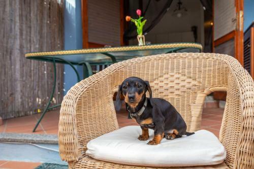 Apartamento Casa Raftin