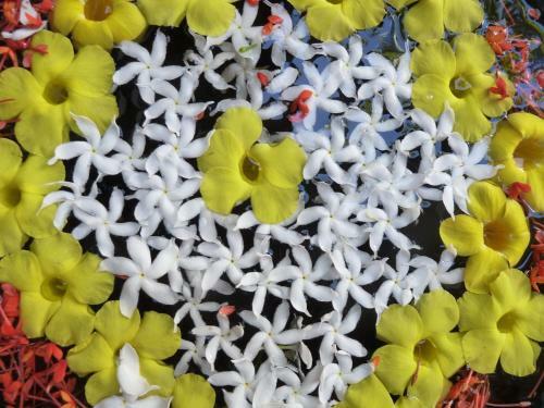 Apartamento Vorder Westen Kassel