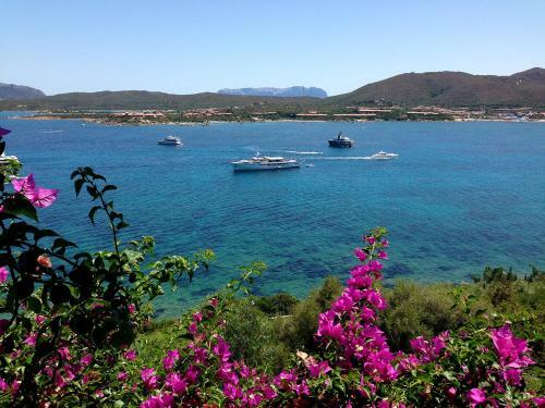Apartamento Casa Valery Wonderful Sea View