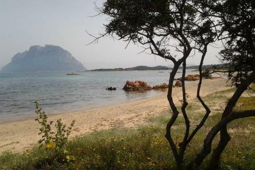 Apartamento Beautiful Sea & Garden View