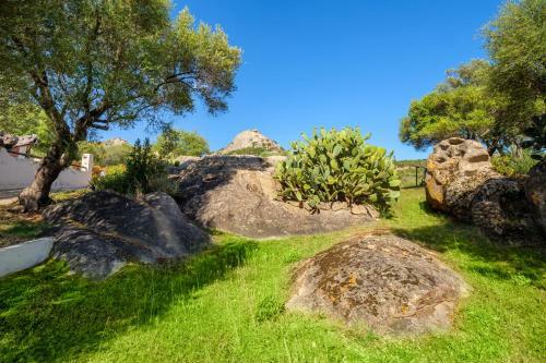 Apartamento Stazzu Delle Aie Bilocale