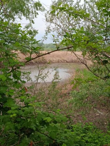 Apartamento Tra La Stazione E Il Lago