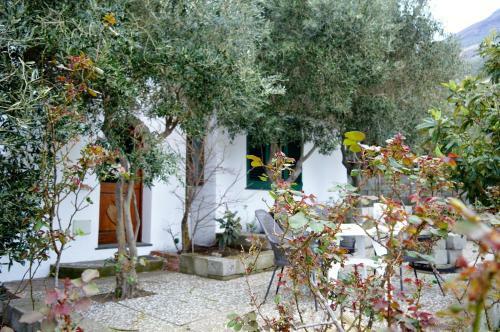 Hostal B&B Il Giardino Segreto