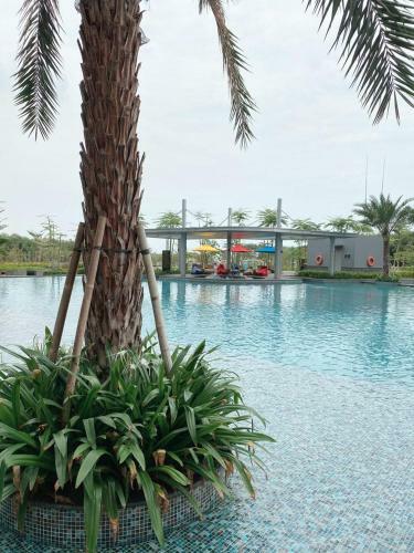Cozy Stay @ Gold Coast Pik Sea View Apartment