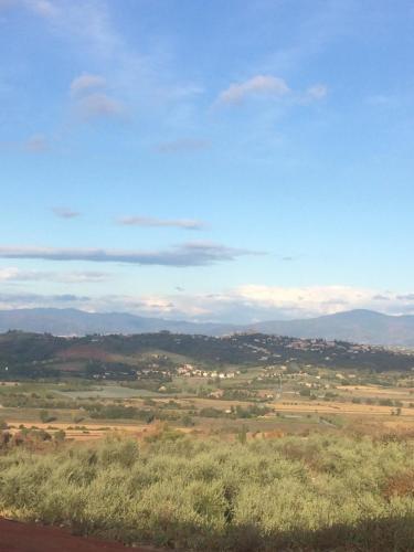 Apartamento Mansarda Degli Ulivi