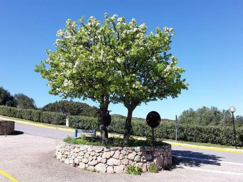 Apartamento Appartamento I Ginepri
