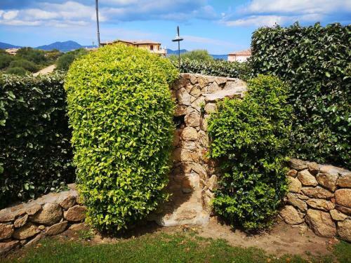 Apartamento The White Sheep - Porto Istana