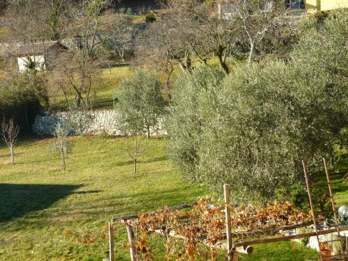 Apartamento Casa Teodoro - Gelsomino & Ulivi