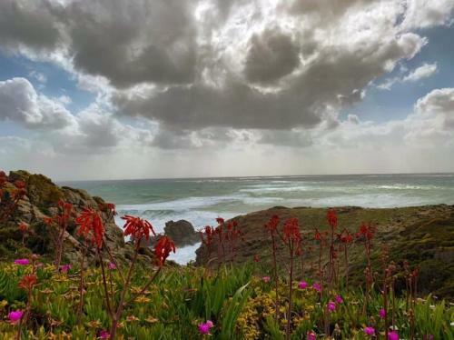 Le Onde