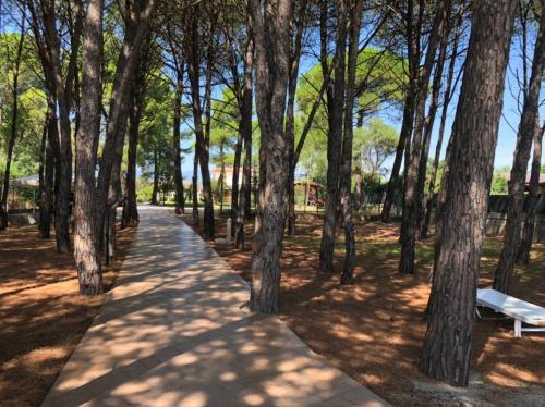 Residence Giglio Di Mare 2