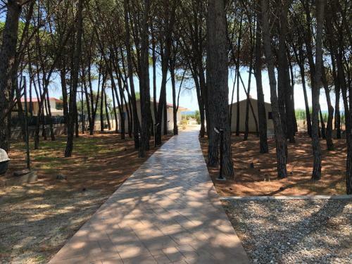 Residence Giglio Di Mare 1 -sellia Marina