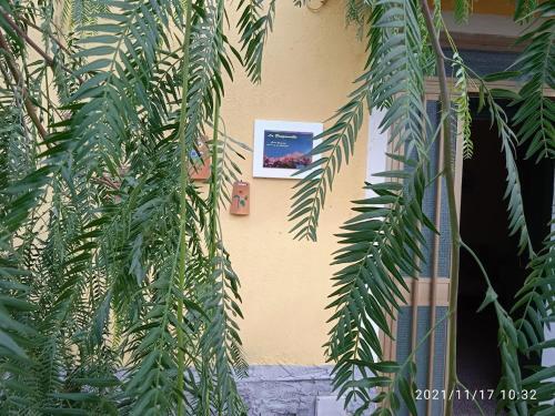 B&B "la Bouganville 1"