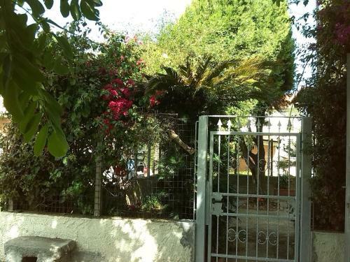 B&B "la Bouganville 1"