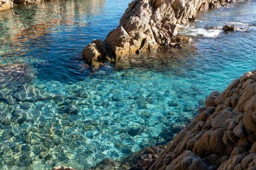 B&B Giglio Di Mare