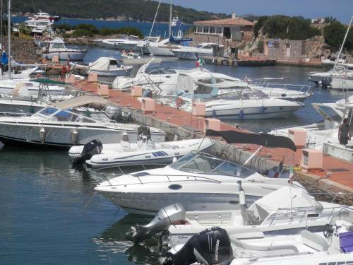 Apartamento La Terrazza Di Punta Marana
