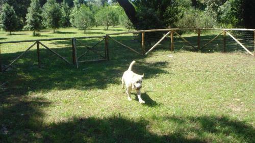 Apartamento Residence Pineta