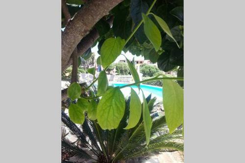 Bed & Breakfast La Finestra Sul Mare