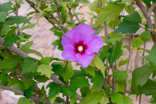 Apartamento ???? ?? ????