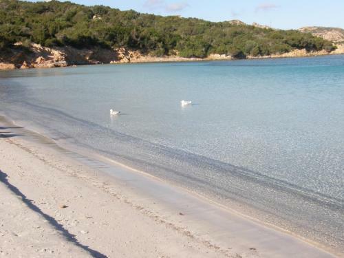 Apartamento Isola Rossa Appartamenti Paduledda