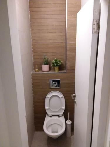 Lakeview Apartment
