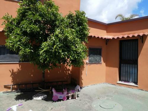 Apartamento Vesuvio