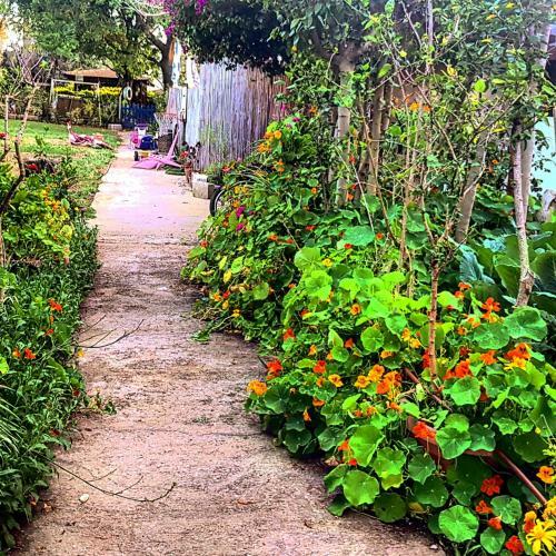 Bed & Breakfast Kibbutz Nachshon