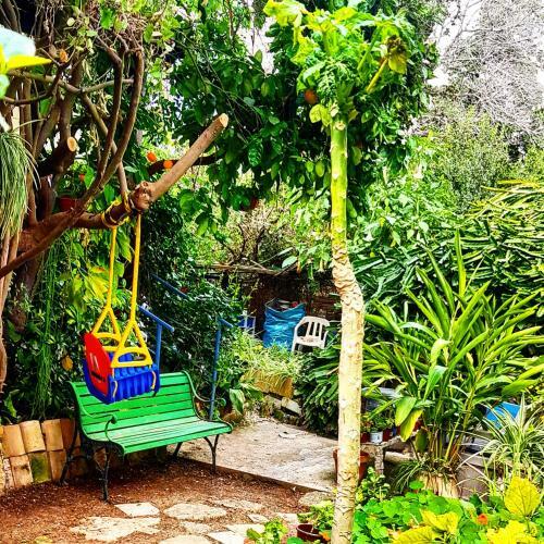 Bed & Breakfast Kibbutz Nachshon