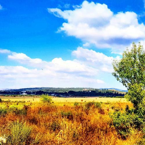 Bed & Breakfast Kibbutz Nachshon