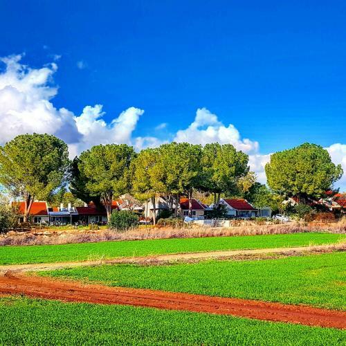 Bed & Breakfast Kibbutz Nachshon