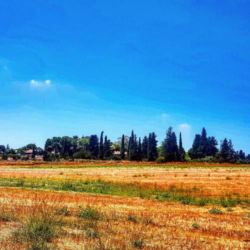 Bed & Breakfast Kibbutz Nachshon
