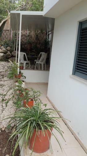 Bed & Breakfast Kibbutz Nachshon