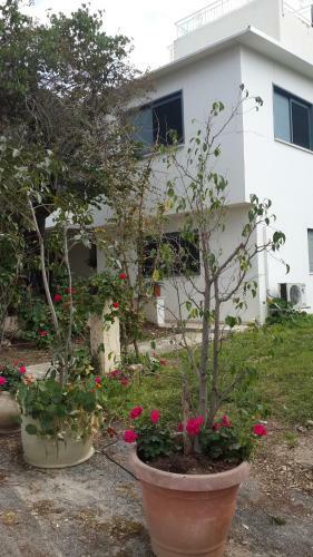 Bed & Breakfast Kibbutz Nachshon