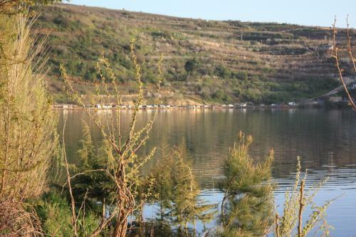 Lodge Zimer Al-bayt