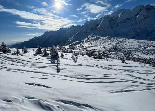 Doncio`s Ski Hike & Bike Apartment