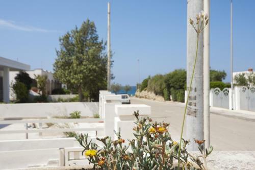 Villa Al Mare Gallipoli