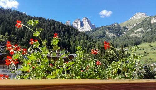 Apartamento Residence Kamerloy G