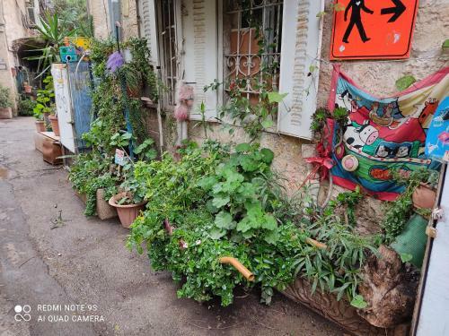 Apartamento Shirizli House #2