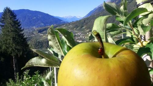 Agroturismo Obereggerhof
