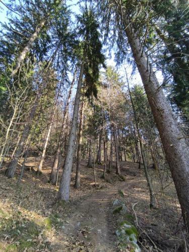 Apartamento Pr�nsterhof Schenna