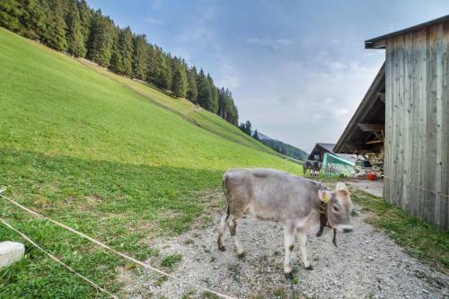 Apartamento Tonigbauernhof Enzian