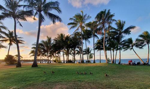 Apartamento Dolphin Heads Absolute Beachfront - Whitsunday Getaway!