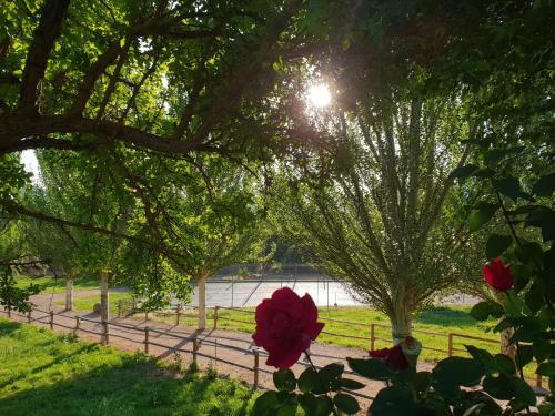 Hotel Val De Pinares